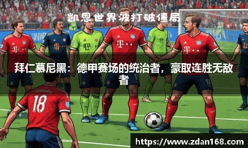 NG体育官方网站
