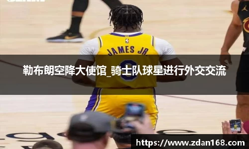 NG体育官网