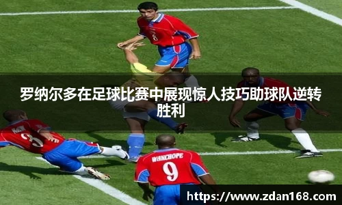 NG体育官网