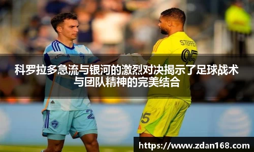 NG体育官网