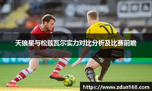 NG体育