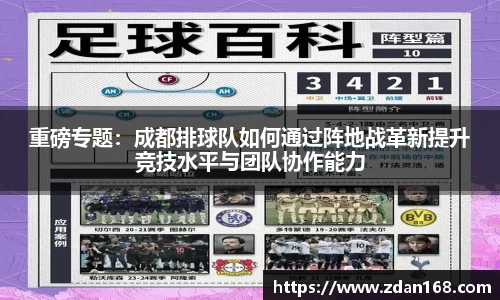 重磅专题：成都排球队如何通过阵地战革新提升竞技水平与团队协作能力